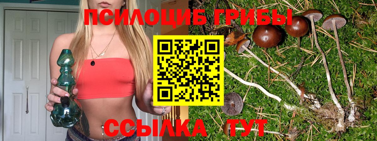 Канаш  Псилоцибиновые грибы GOLDEN TEACHER  Галлюциногенные грибы GOLDEN TEACHER  Вход с VPN 
